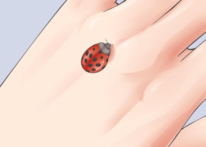 ladybug as a talisman for good luck